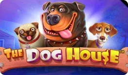 Spinjo Casino – The Dog House